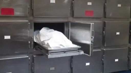 أخبار مصر