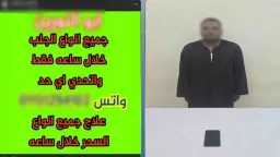 أخبار مصر