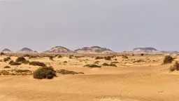 أخبار مصر