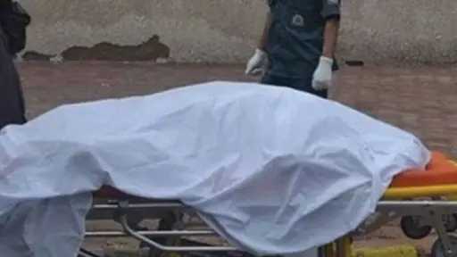 أخبار مصر