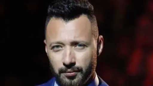 فن