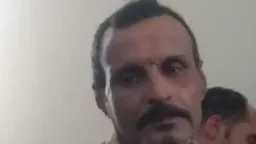 أخبار مصر