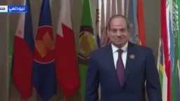 أخبار مصر