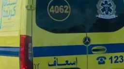 أخبار مصر