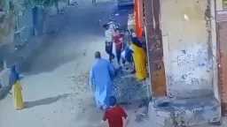 أخبار مصر