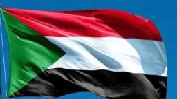 أخبار مصر