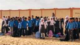 أخبار مصر