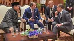 أخبار مصر