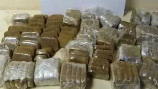 أخبار مصر