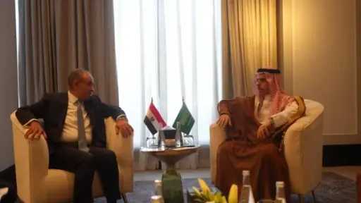 عربي ودولي