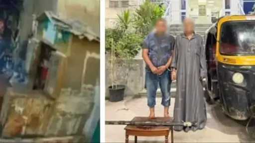 أخبار مصر
