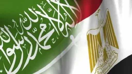 عربي ودولي