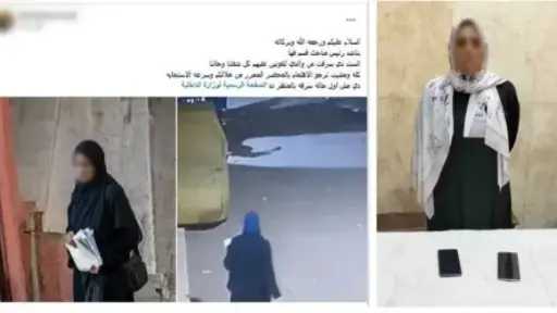 أخبار مصر