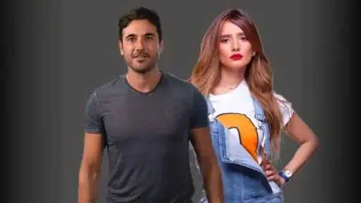 فن