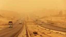 أخبار مصر