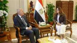 أخبار مصر