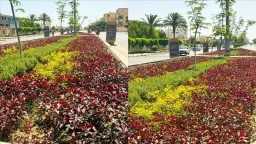 اقتصاد