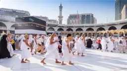 أخبار مصر