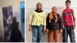 أخبار مصر