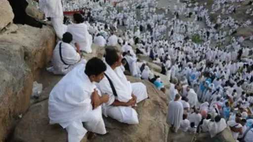 أخبار مصر