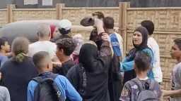 أخبار مصر