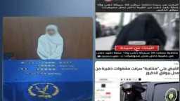 أخبار مصر