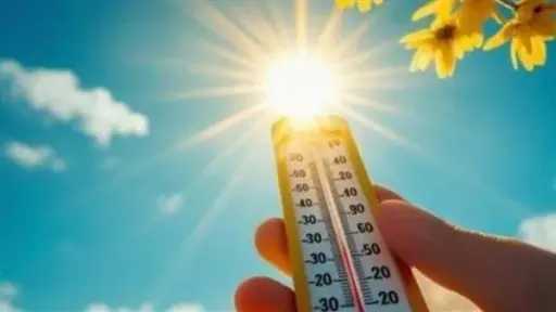 أخبار مصر