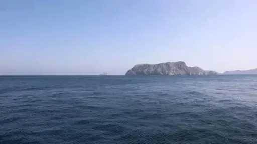 تريندات
