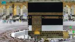عربي ودولي