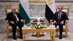 أخبار مصر