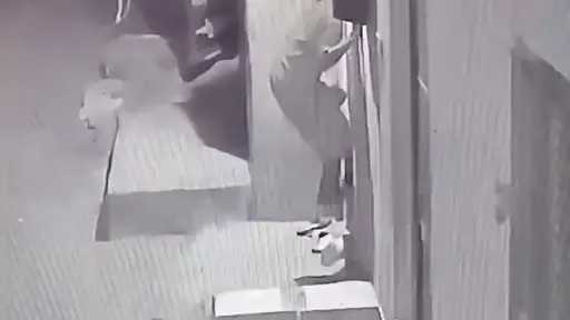 أخبار مصر