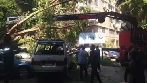 أخبار مصر