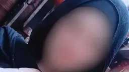 أخبار مصر