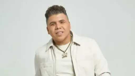 فن