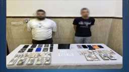 أخبار مصر