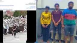 أخبار مصر