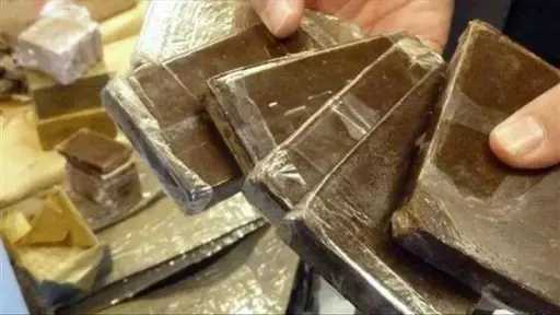 أخبار مصر