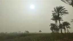 أخبار مصر