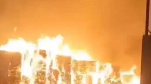 أخبار مصر