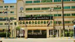 أخبار مصر