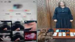 أخبار مصر