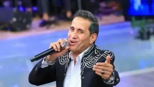 فن