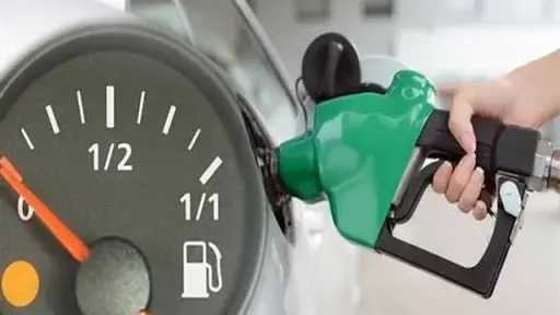 أخبار مصر