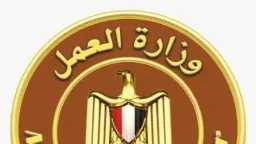 أخبار مصر