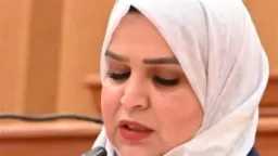 أخبار مصر