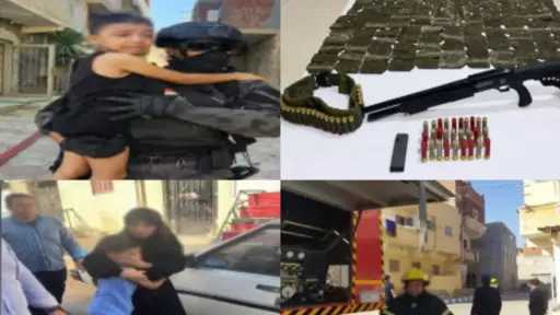 أخبار مصر