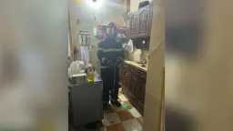 أخبار مصر