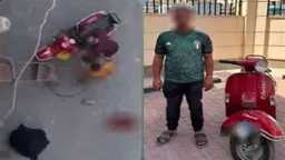 أخبار مصر
