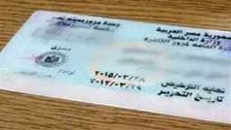 أخبار مصر