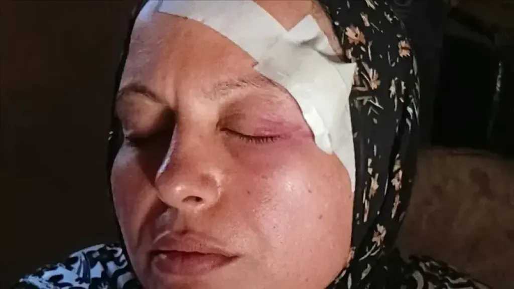 أخبار مصر